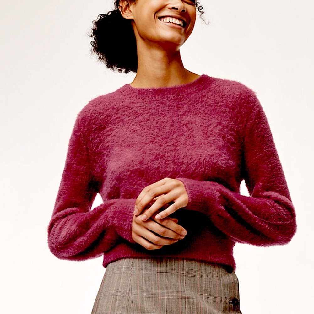 COPY - ARITZIA Sunday best kitten sweater